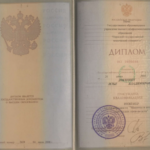 Скан диплома Докшина Ильи