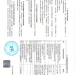 Скан документа - комплект ВИК, таблица комплектности и печать с датой продажи