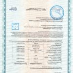 сканированный документ сертификт