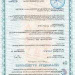 Скан документа искатель-2